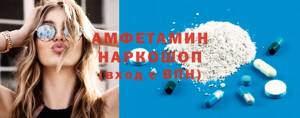 стаф Осинники