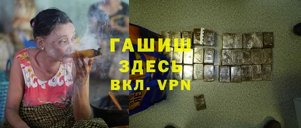стаф Осинники