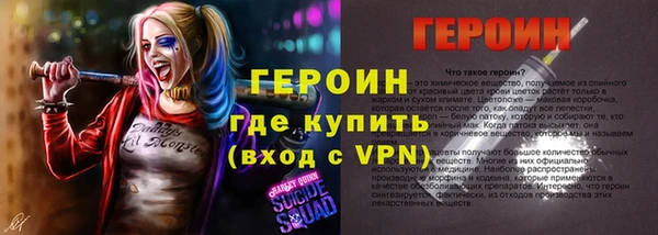 стаф Осинники