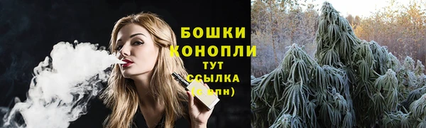 стаф Осинники