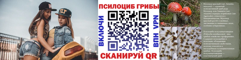 OMG tor  Бакал  Галлюциногенные грибы мицелий 