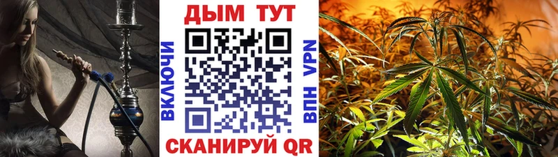 Шишки марихуана план  купить наркотики сайты  Бакал 